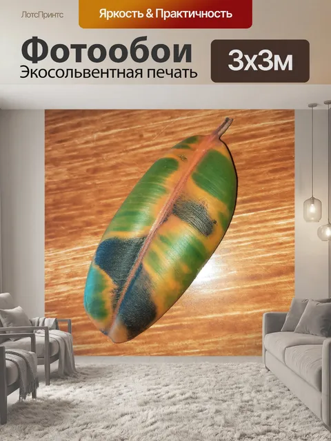 Фотообои Мертвый лист 011