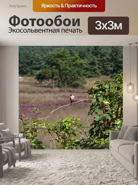 Фотообои Птица