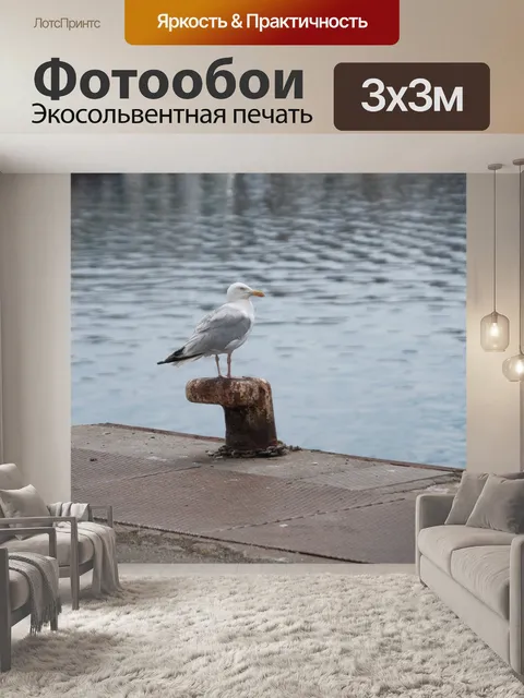 Фотообои Птица на причале