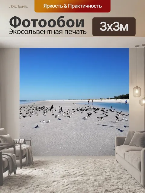 Фотообои Чайка