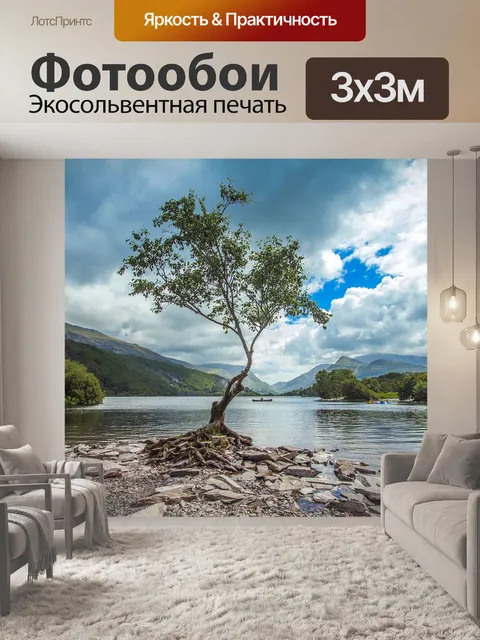 Фотообои Дерево