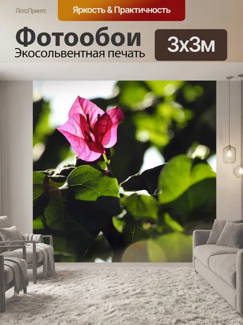 Фотообои Розовый Бугенвиль Цветок