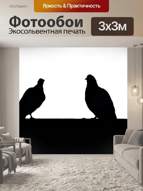 Фотообои Два голубя