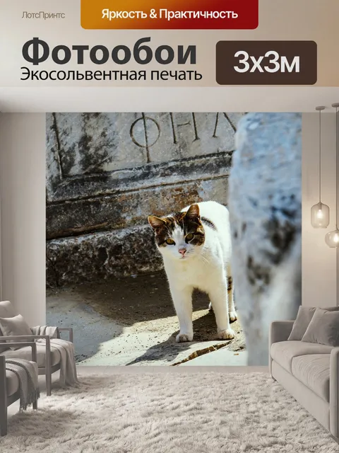 Фотообои Кошка