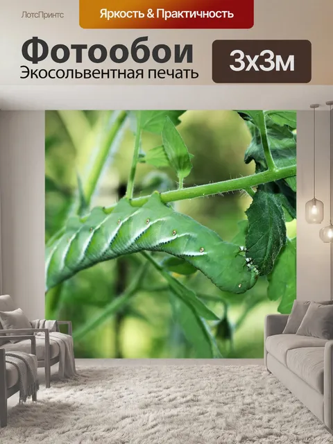 Фотообои Табачные растения