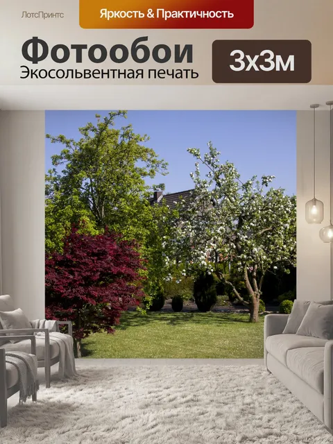 Фотообои Деревья