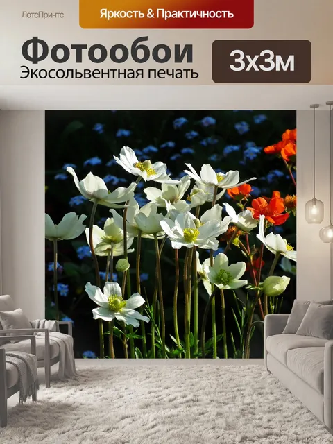 Фотообои Анемоны