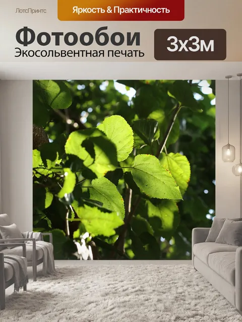 Фотообои Листья
