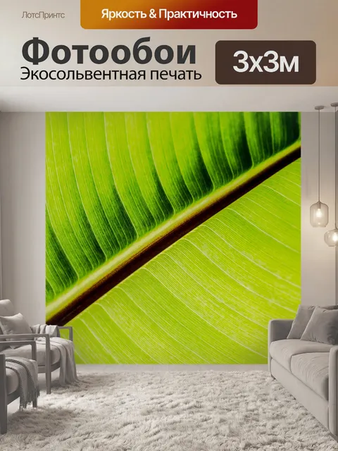 Фотообои Лист