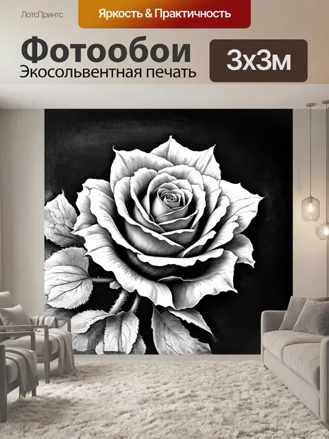Фотообои крупный план черно-белой розы с тонкими деталями лепестков и стебля