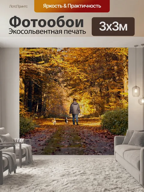 Фотообои Лесная тропа