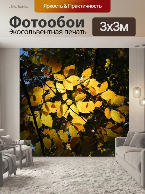 Фотообои Листья