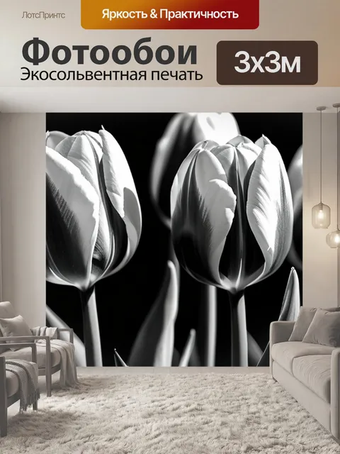 Фотообои монохромные тюльпаны