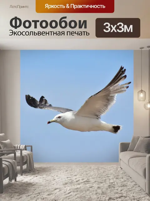 Фотообои Животное