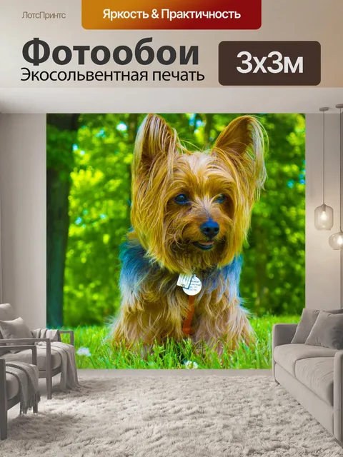Фотообои Собака