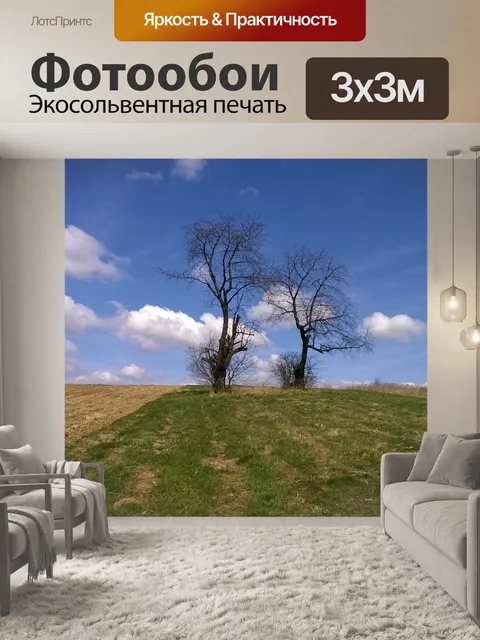 Фотообои Деревья