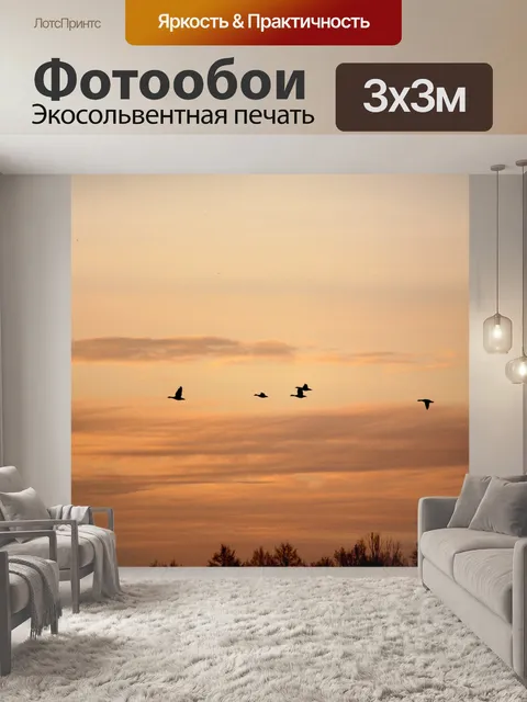 Фотообои Птицы