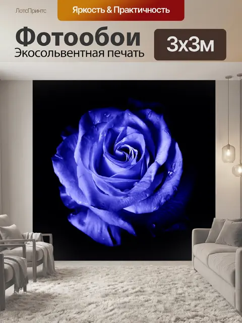 Фотообои голубая роза, бутон, роза, синий, цветы