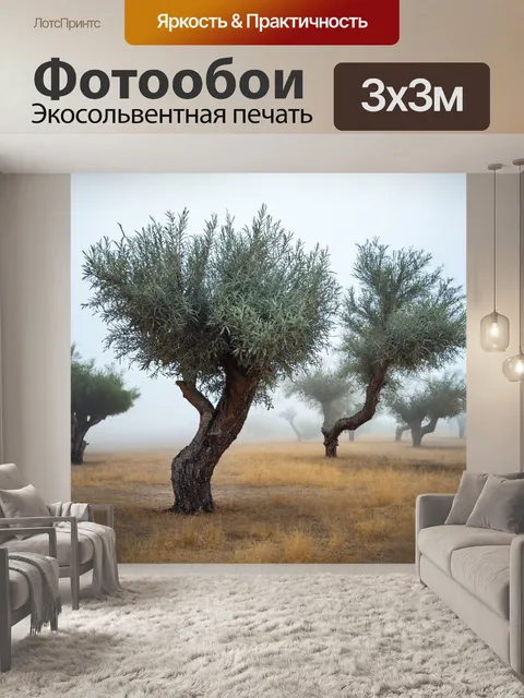 Фотообои туман в стиле минимализм, старые оливковые деревья и паутинка тумана