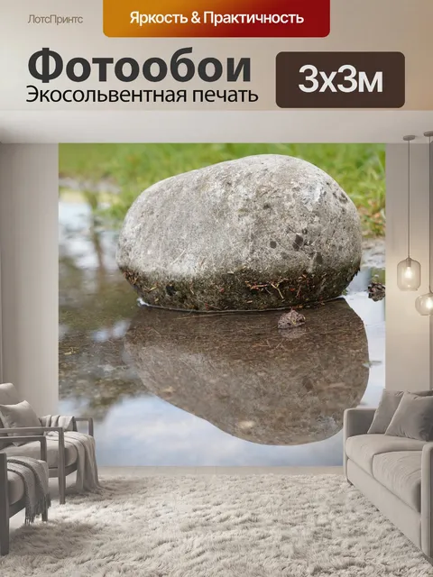 Фотообои Лужа