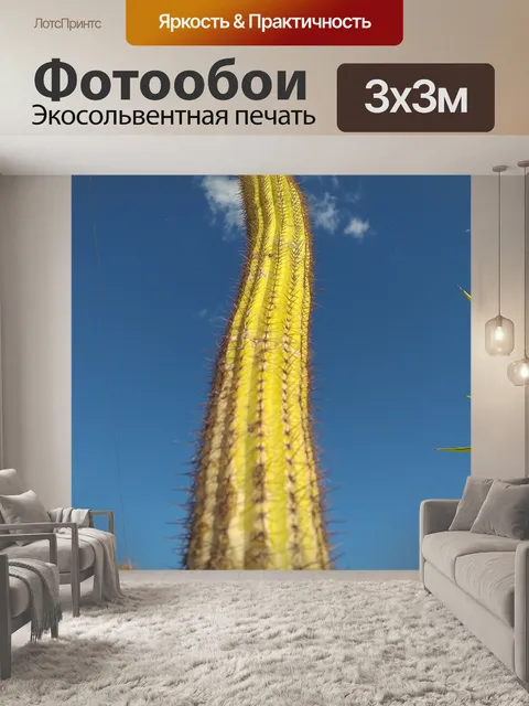 Фотообои Кактус