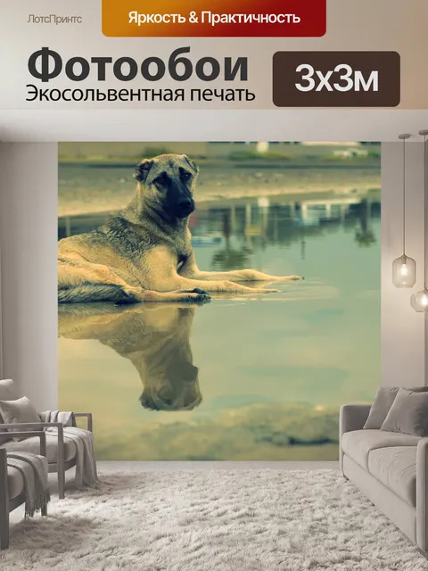 Фотообои Собака