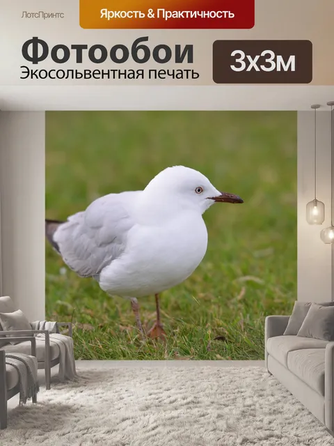 Фотообои Птица