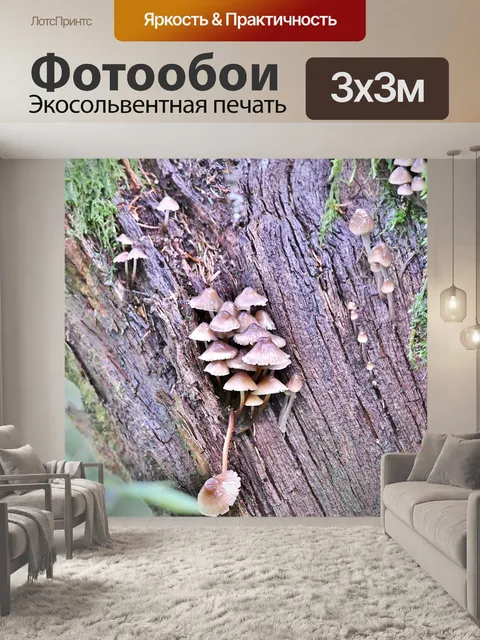 Фотообои Грибы