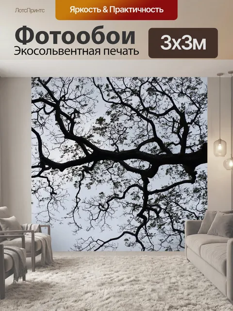 Фотообои Дерево небо