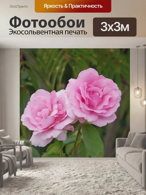 Фотообои Розы