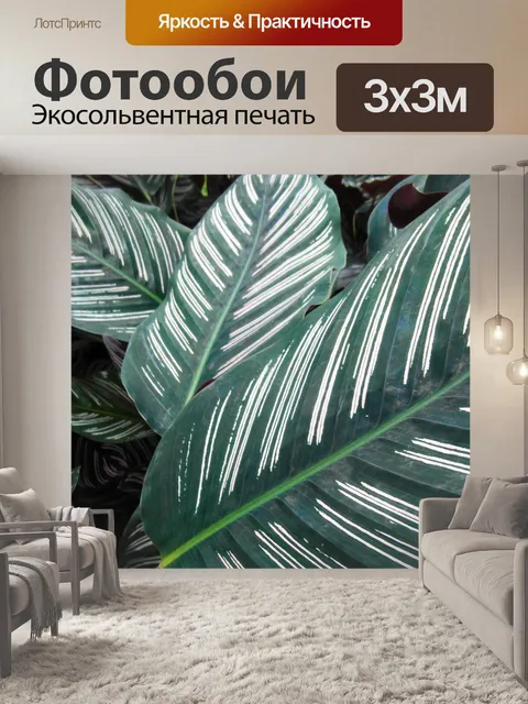 Фотообои Листья