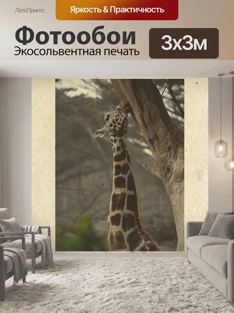 Фотообои Винтажная открытка с животными