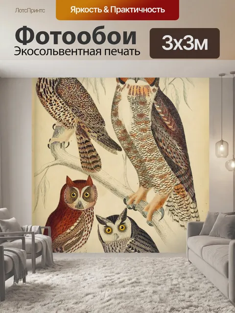 Фотообои Сова филин винтаж арт