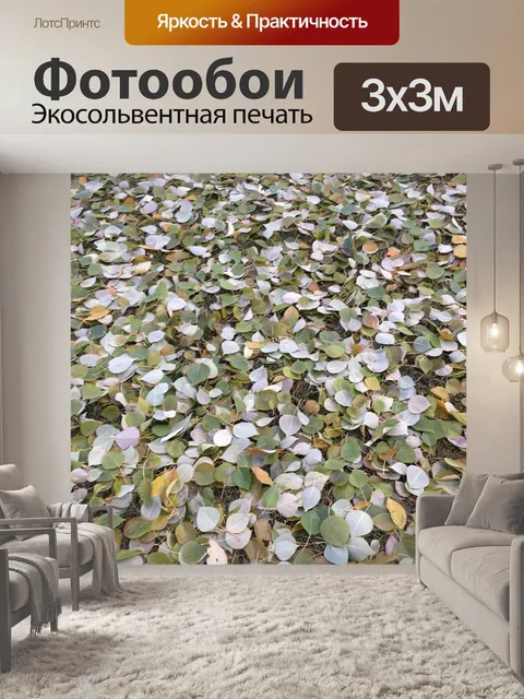Фотообои Осень