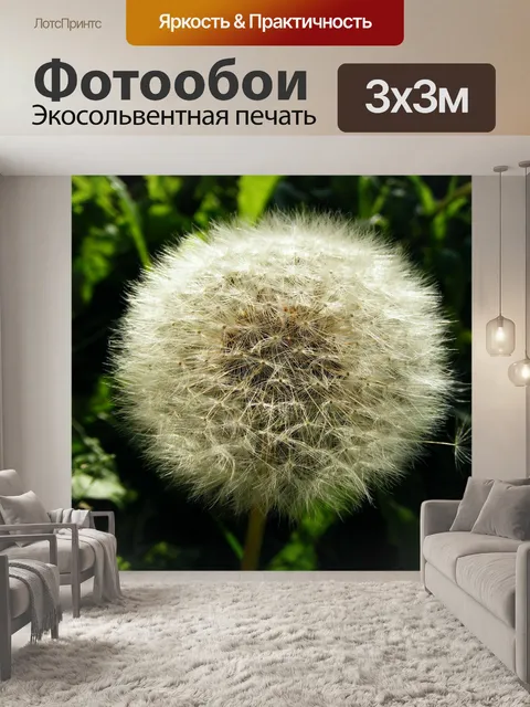 Фотообои Одуванчик