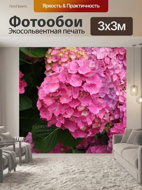 Фотообои Розовые цветы гортензии с листвой