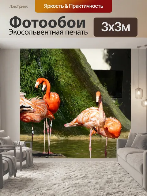 Фотообои Фламинго