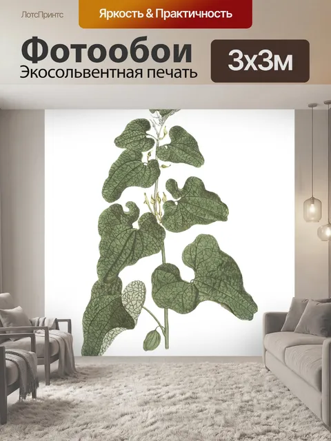Фотообои Цветы