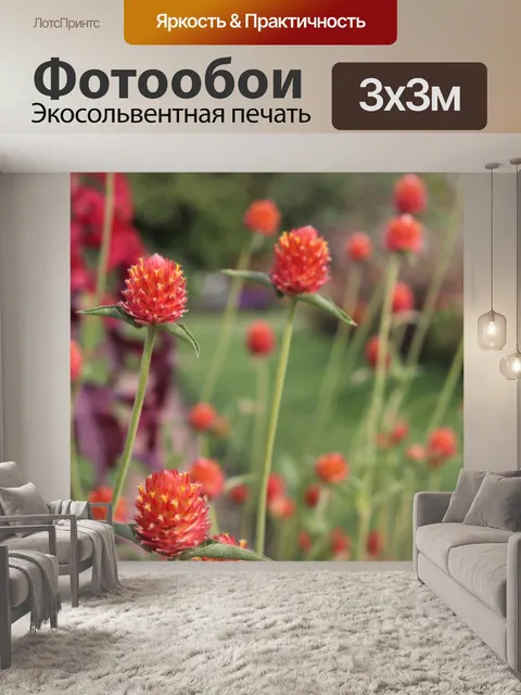 Фотообои Цветы
