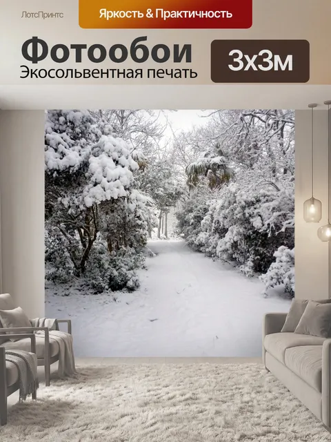 Фотообои Снежный дорога