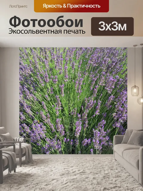 Фотообои Лаванда