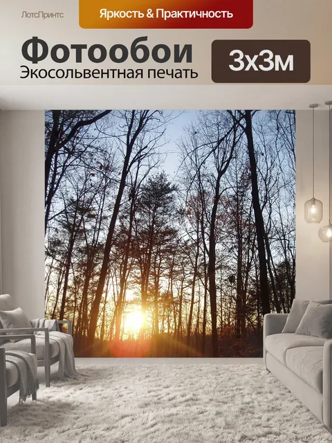 Фотообои Красочный закат лес