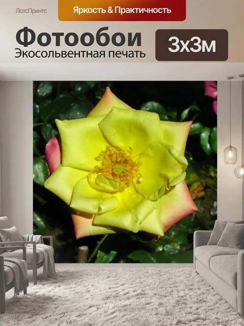 Фотообои Желтый цветок Сад