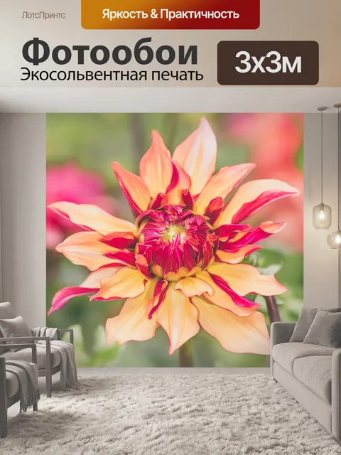 Фотообои Цветы