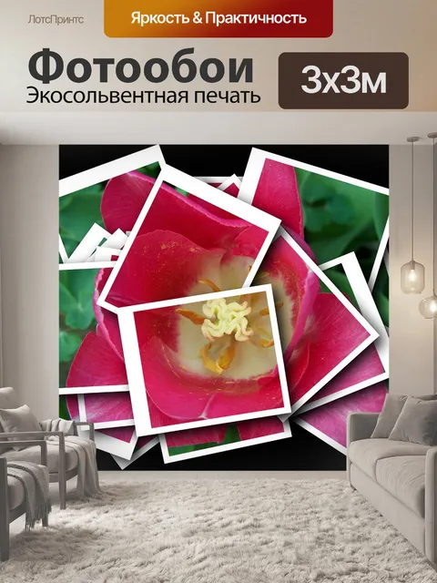 Фотообои Коллаж