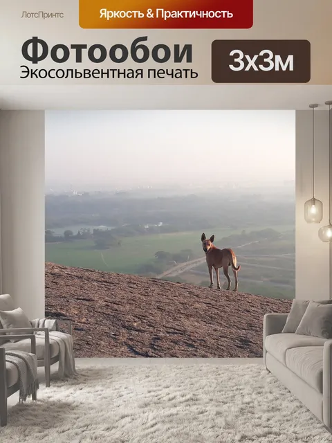 Фотообои На вершине холма