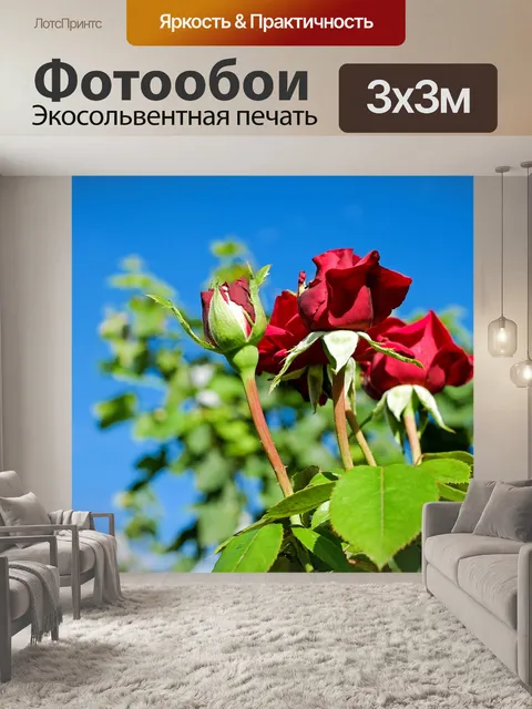 Фотообои Роза
