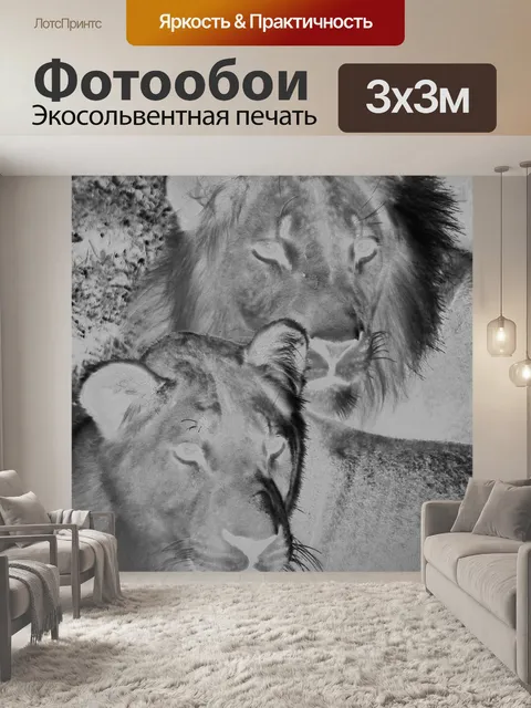 Фотообои Львы