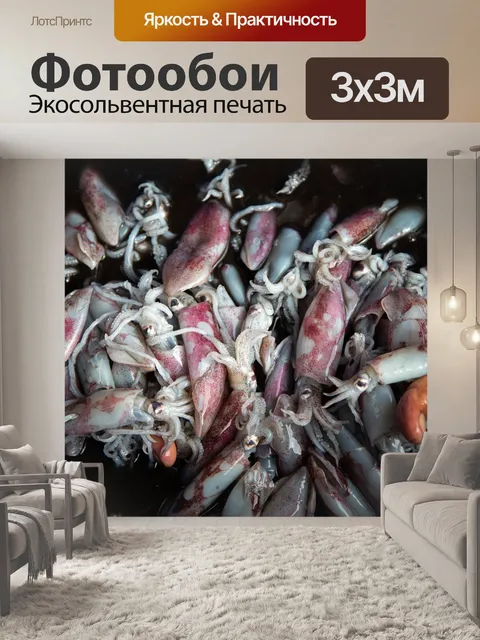 Фотообои Кальмары