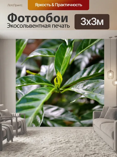 Фотообои Листья